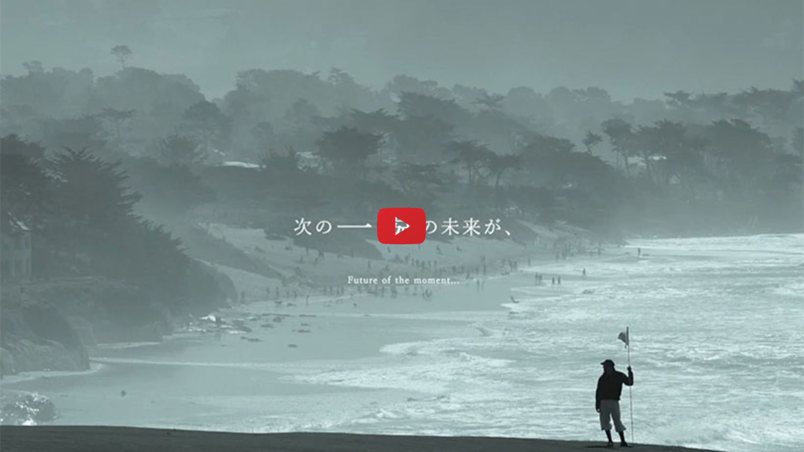 動画を再生
